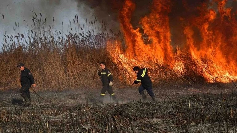Πυρκαγιά σε αγροτική περιοχή στη Νέα Κίο Αργολίδας